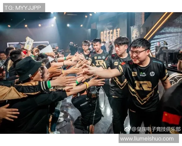 RNG战队反击策略深度解析与实战应用探讨