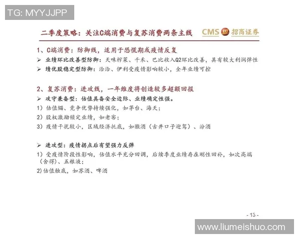 深圳网球队防守策略深度解析与战术应用探讨 深圳网球队防守策略深度解析与战术应用探讨